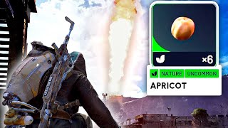 Risking It All For An Apricot...