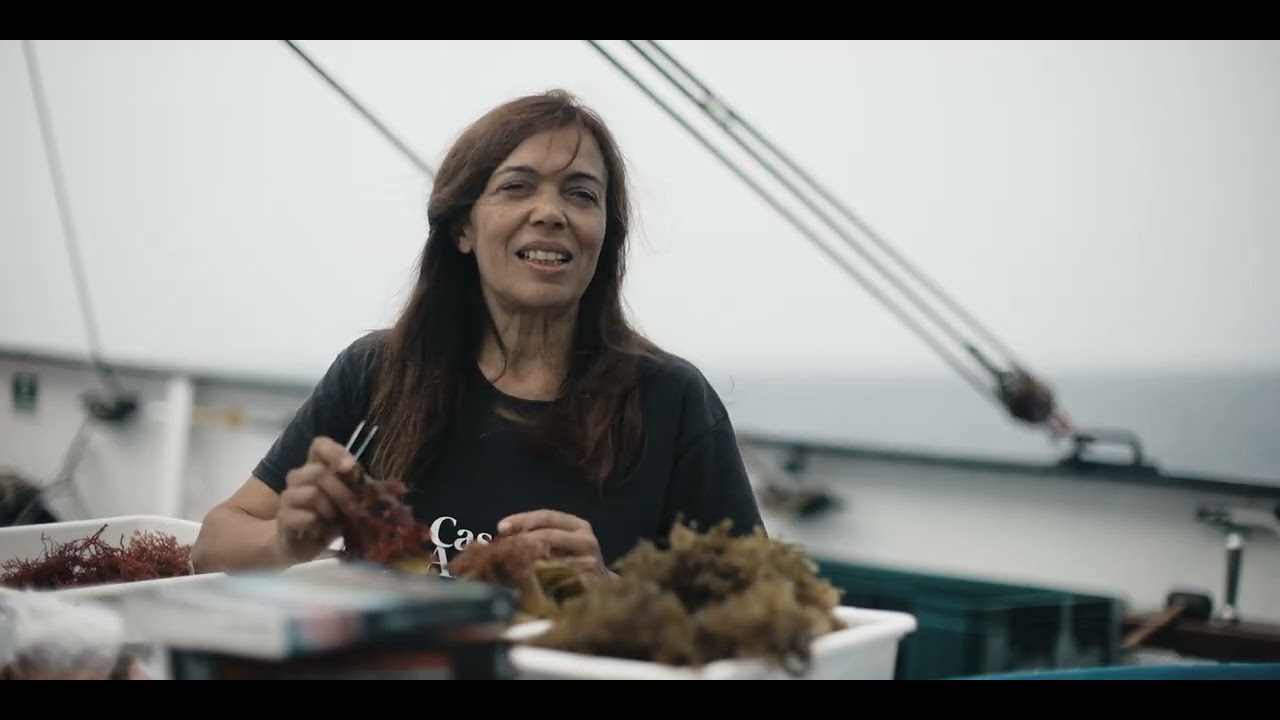 Estreia do documentário "Gorringe - O Gigante do Atlântico"