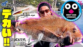 【Hayabusa】ジャックアイ で狙え！03マダイ・釣りたい・ジャックアイ