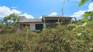 From Overgrown to Stunning! Free Abandoned House Yard Cleanup screenshot 4