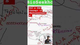 TIC & TOC Concept in Photosynthesis neet viral short biology