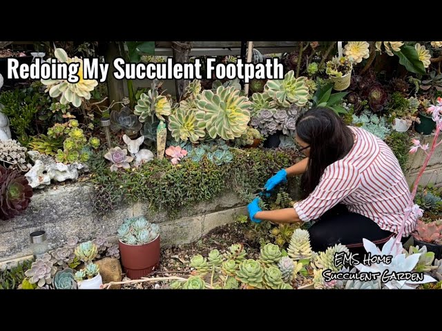 Succulent Garden Weekend Chores class=