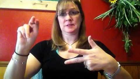 ASL expressive story #1