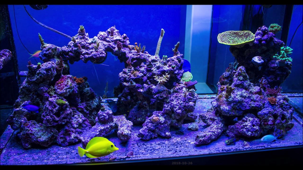 110G SPStank 2018-2023