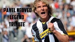 FIFA 15 | NEDVED TRIBUTE | HAVE A NICE DAY