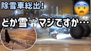 札幌にどか雪☃️‼︎いきなり勘弁してー！😫モーターグレーダー目の前よ