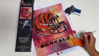 Team Pride Diamond Painting Craft Kit by Sporticulture 2025