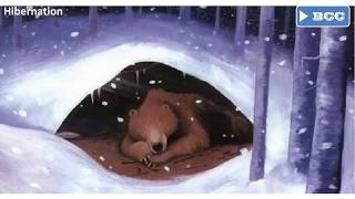 Hibernation - Learning English Intermediate - Dictation 4