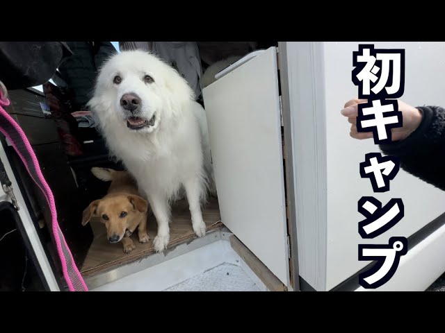 バスコンでキャンプに出発!