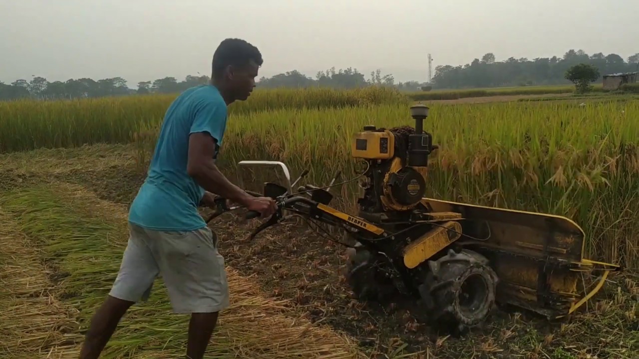 Paddy Crop Cutting Machine Nepali Farmer Rs.3 Lakh Only YouTube