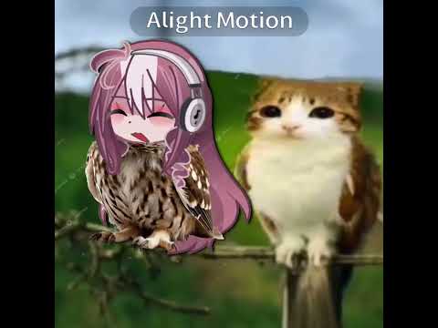 I Am A New Soulblahblabhal AGH I HATE THIS SONG GET OUT OF MY HEAD RAH Silly Twixie3 Lazypost