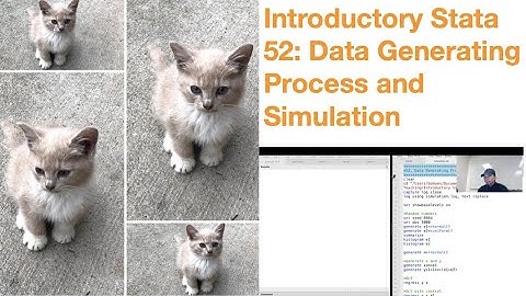 Introductory Stata 52: Data Generating Process and Simulation