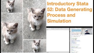 Introductory Stata 52: Data Generating Process and Simulation