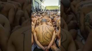 Thousands moved to El Salvador mega-prison