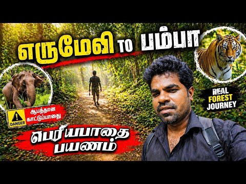 💥🙏🏼Sabarimala periya pathai 2025 yatra |😱 Erumeli to pamba |பெருவழி பயணம்| #சபரிமலை Traditional Rout