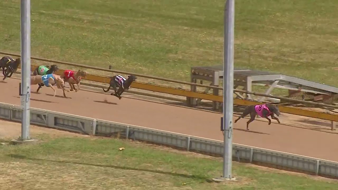 WGL FRI 16 JAN 26 R6