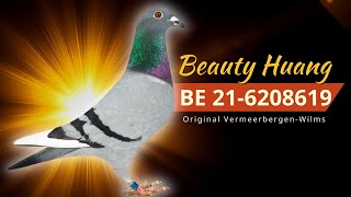 Beauty Huang | BE 21-6208619