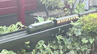 00 Gauge Garden Railway.
