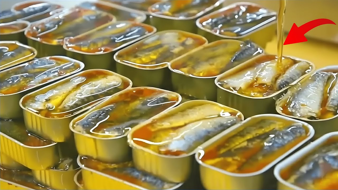 Inside the Canned Meat Factory: How Millions of Canned Sardines Are Made in a Factory (Full Process)