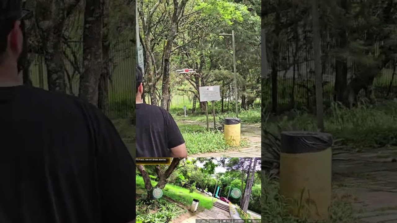 Evolução das Plantas