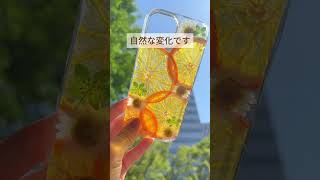 【腐らないんですか？にお答えします！】#ハンドメイド #ハンドメイド作家 #レジン #レジン作家 #押し花 #押しフルーツ screenshot 5
