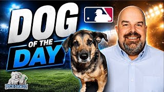 MLB Picks and Predictions for Today 9/22/2026 | Dawg of the Day 