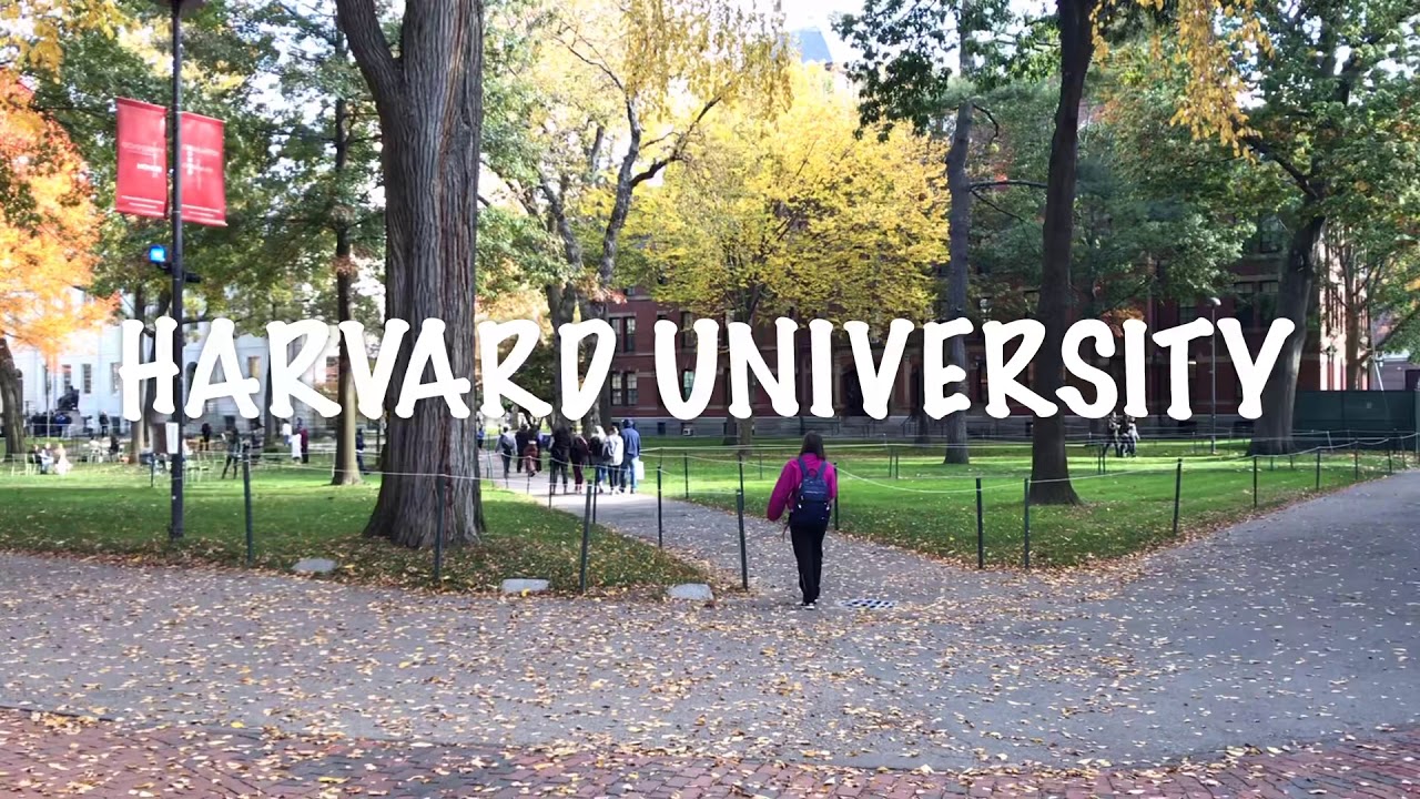 Hai Trường Đại Học Hàng Đầu Thế Giới: HARVARD & MIT - youtube