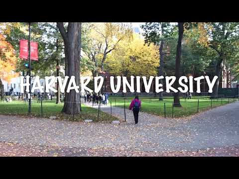 Hai Trường Đại Học Hàng Đầu Thế Giới: HARVARD & MIT