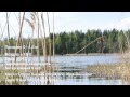 Подводная охота. Озеро Кирьяк (Kirjakjärv), 9 мая 2014 года