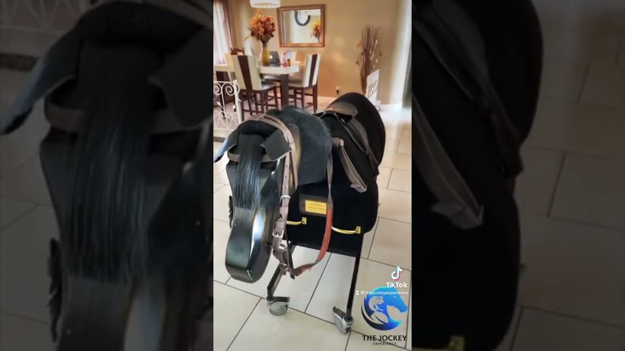 What is an Equicizer & how does it help a horse racing jockey?🏇🤨 