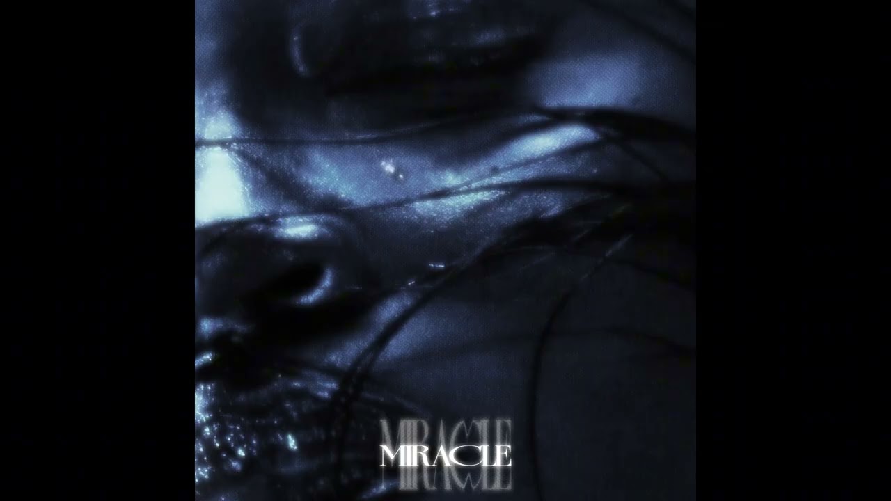 WHVTHEDUCK - miracle