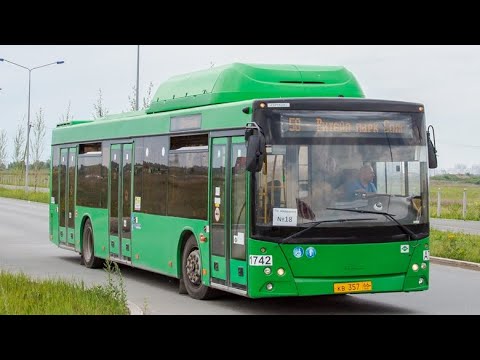 Маз 203 l65