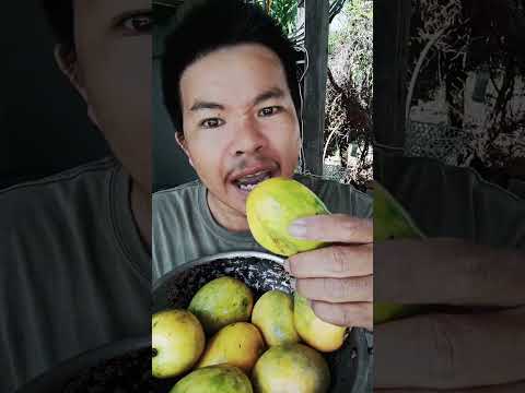 ăn sài chua ngọt cùng chú già #carotkhoa #shorts