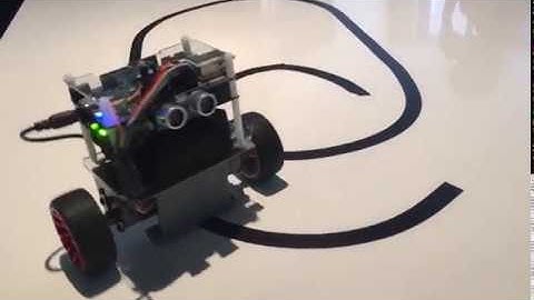 FPGA based self-balancing robot with localisation and line following functions