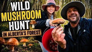 Wild Mushroom Hunting in Alberta — Did We Actually Find Any? 🍄