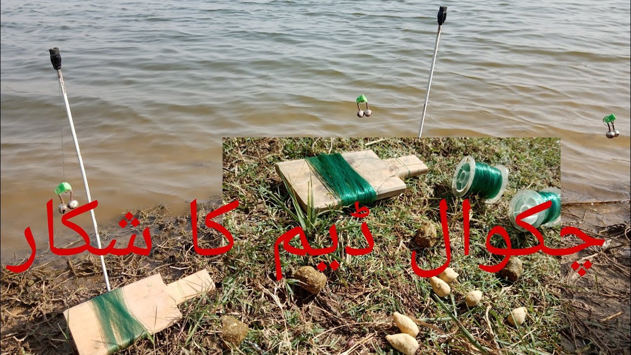 Chakwal dam ka new shikar | rohu fish hunting