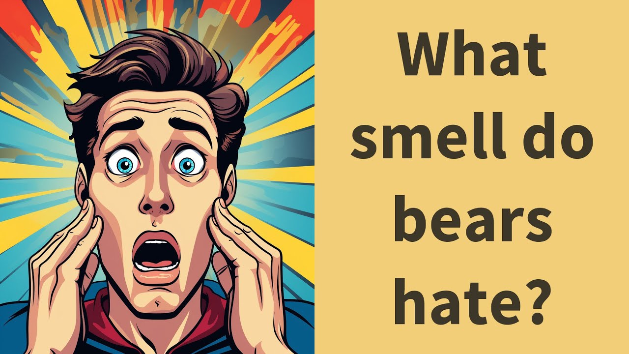 What Smell Do Bears Hate YouTube what-smell-do-bears-hate-youtube