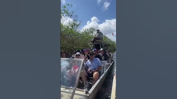 Thumbnail of Airboats are cool, especially in the Everglades #airboat #everglades #gators