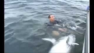 Giant Bluefin Tuna - 900+ lbs - Prince Edward Island (PEI), Canada