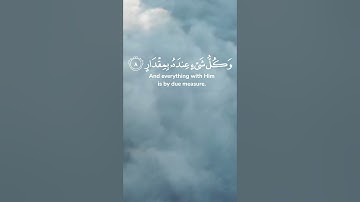 سورة الرعد الآية 08 و 09 بصوت القارئ محمد الفقيه