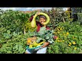 My Frontyard Became a Grocery Store 🌱 | Tiny Kitchen Garden