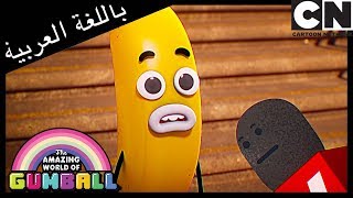 غامبول | قصص محلية | كرتون نتورك