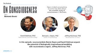 #6 — Potential of Biologically Inspired Neural Modeling with Neurorobotics Expert, Jeffrey Krichmar