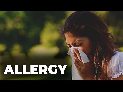 Video: Co je horský cedr – zjistěte pravdu o alergiích na horský cedr