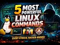 Top 5 Linux Commands for Ethical Hackers | Beginner Friendly