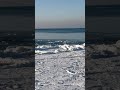 #walking #cafed #beach #snow #travel #cute #winter #sea #waves #nature #ocean #dog #dogs #animals