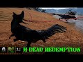 The Isle Evrima - H Dead Redemption - Update 7.5 - Horde Test - Hypsilophodon