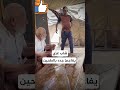 هاي طحين يا حج جبتلك طحين فلسطين أطفال Gaza Palestine 2025 غزة هاي طحين يا حج جبتلك طحين فلسطين أطفال Gaza Palestine 2025 غزة