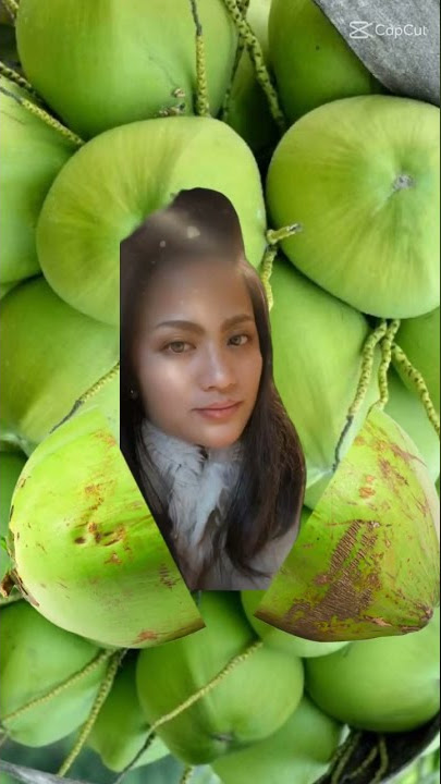 BEAUTIFUL GIRL IN A MILLIONS OF COCONUTS 🥥 #shorts #millions #coconut #beautiful #viral #trending