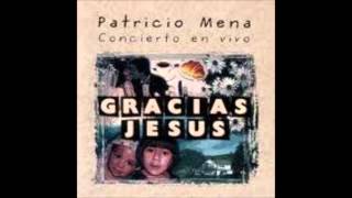 Querido amigo - Patricio Mena chords